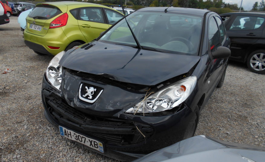 2009 PEUGEOT 206+