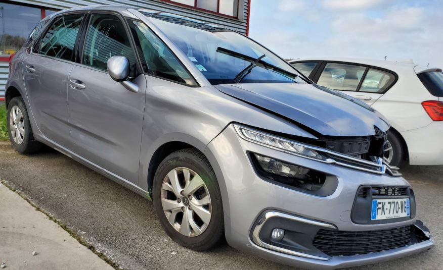Citroen C4 Picasso Spacetourer / Selection