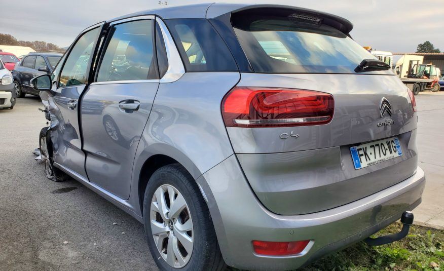 Citroen C4 Picasso Spacetourer / Selection
